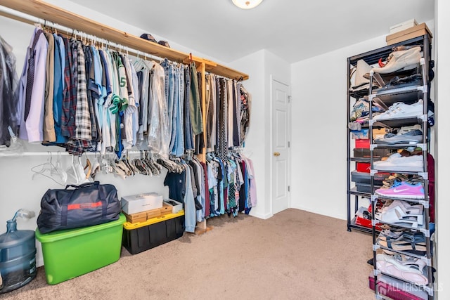 14 E Shirley Ave, Colonia, NJ 07067 - walk in closet with carpet floors