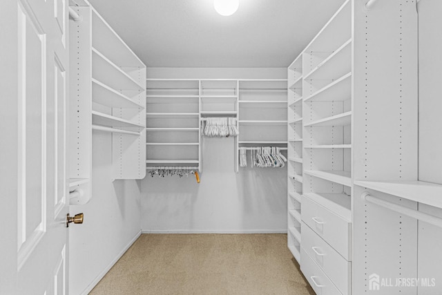 714 Victoria Ct Unit B, Monroe, NJ 08831 - spacious closet featuring carpet flooring