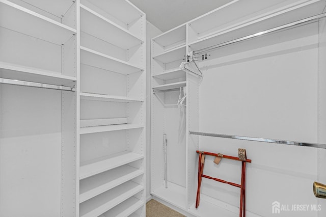 714 Victoria Ct Unit B, Monroe, NJ 08831 - view of walk in closet