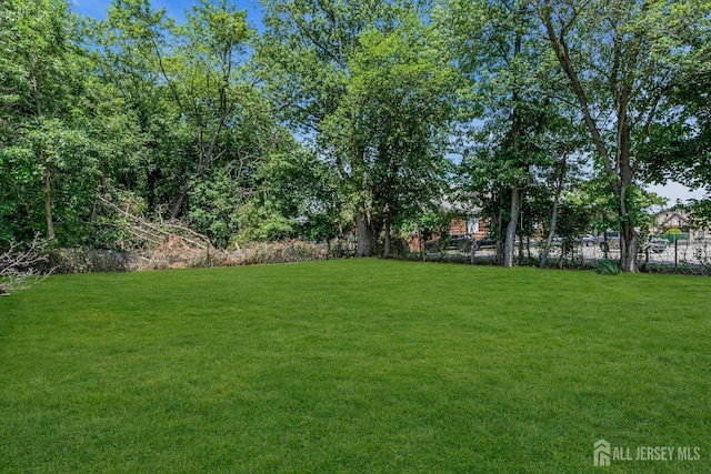 21 Harrison Ave, Englishtown, NJ 07726 - photo 33