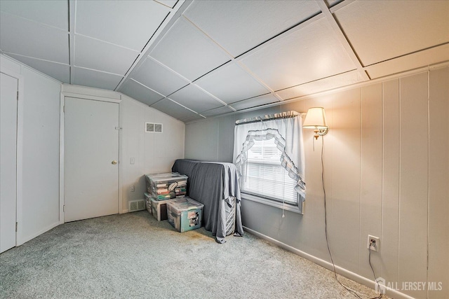 202 Garden Dr, South Plainfield, NJ 07080 - additional living space featuring carpet flooring and lofted ceiling