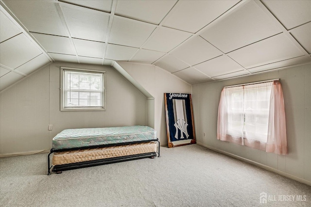 202 Garden Dr, South Plainfield, NJ 07080 - bedroom featuring carpet flooring and vaulted ceiling