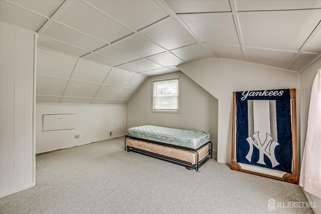 202 Garden Dr, South Plainfield, NJ 07080 - bedroom with carpet flooring, vaulted ceiling, and baseboards