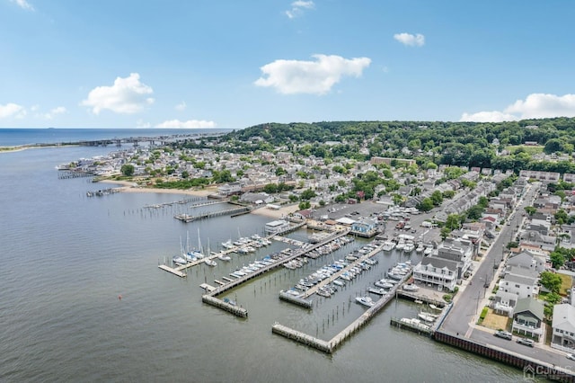 aerial view of a marina and a large body of water