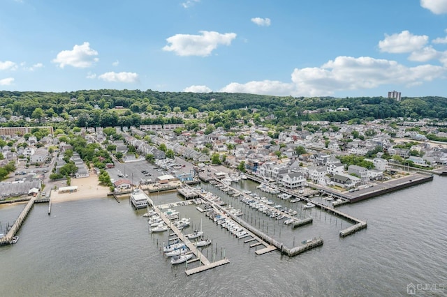 drone / aerial view of a marina and a large body of water