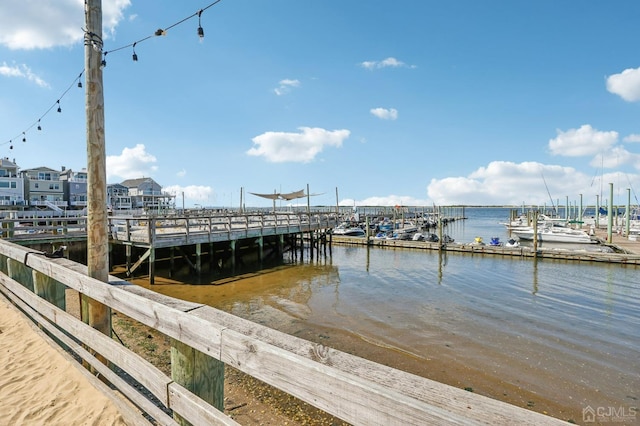 dock area with a water view