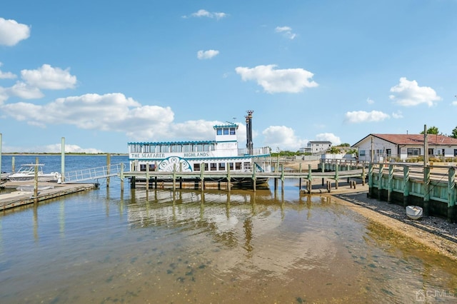 dock area with a water view