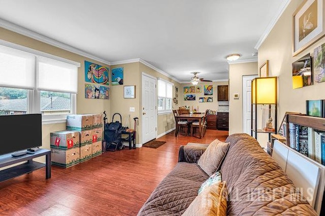 13 Ohio Ct Unit 13, Middlesex, NJ 07747 - living room featuring wood finished floors, ceiling fan, and crown molding