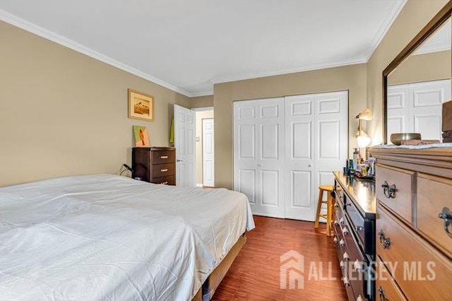 13 Ohio Ct Unit 13, Middlesex, NJ 07747 - bedroom featuring dark wood finished floors, ornamental molding, and a closet