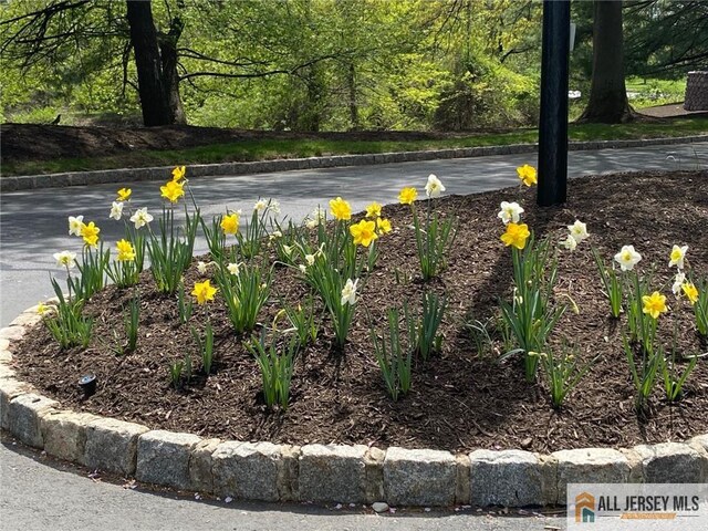 121 Waterford Dr, Edison, NJ 08817 - photo 2