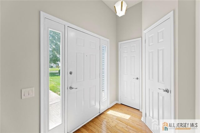 foyer featuring a healthy amount of sunlight and light wood-style floors