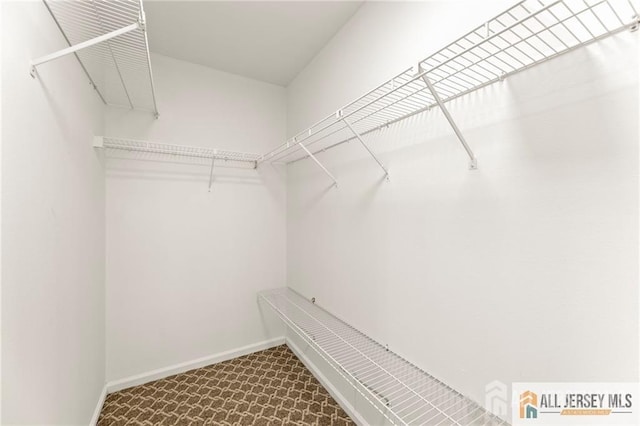 spacious closet with dark colored carpet