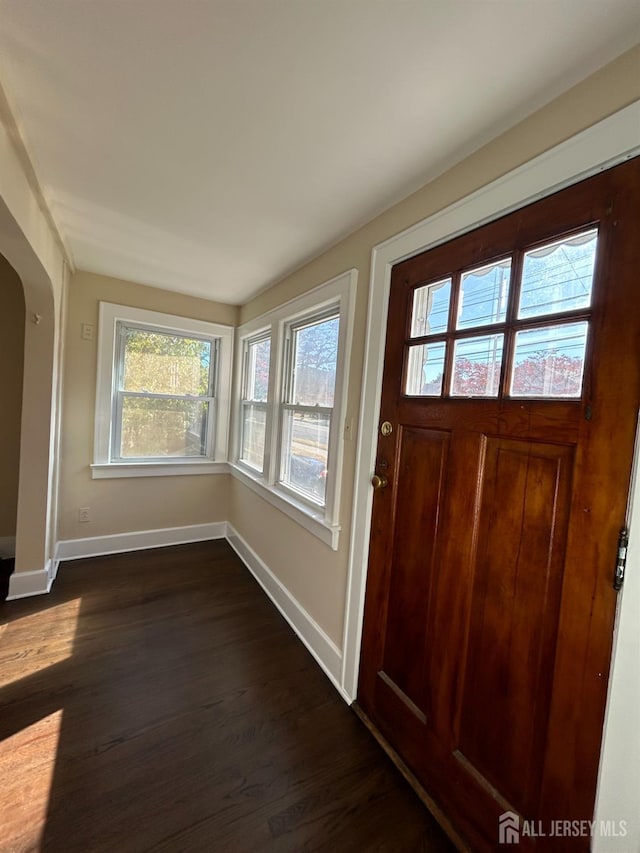 entrance foyer featuring dark wood-type flooring