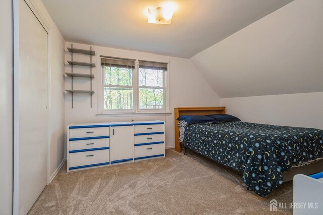28 Thrush Dr, East Brunswick, NJ 08816 - bedroom with light carpet and vaulted ceiling