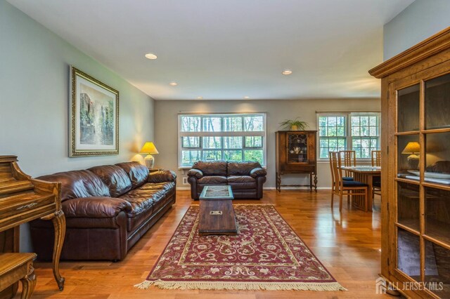 28 Thrush Dr, East Brunswick, NJ 08816 - living room with plenty of natural light, wood finished floors, recessed lighting, and baseboards