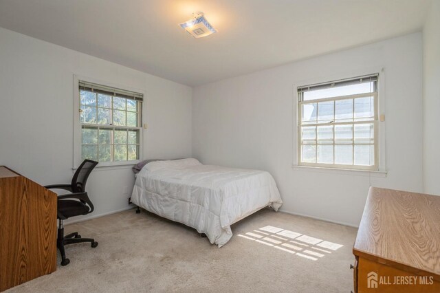 28 Thrush Dr, East Brunswick, NJ 08816 - view of carpeted bedroom