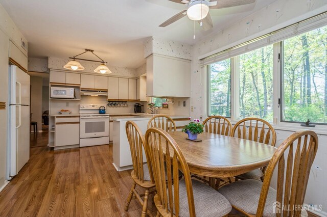 28 Thrush Dr, East Brunswick, NJ 08816 - dining space featuring plenty of natural light, a ceiling fan, and light wood finished floors
