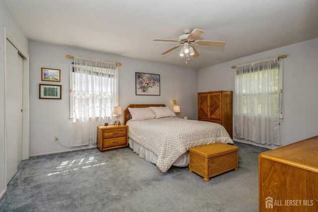 28 Thrush Dr, East Brunswick, NJ 08816 - carpeted bedroom with a ceiling fan and a closet