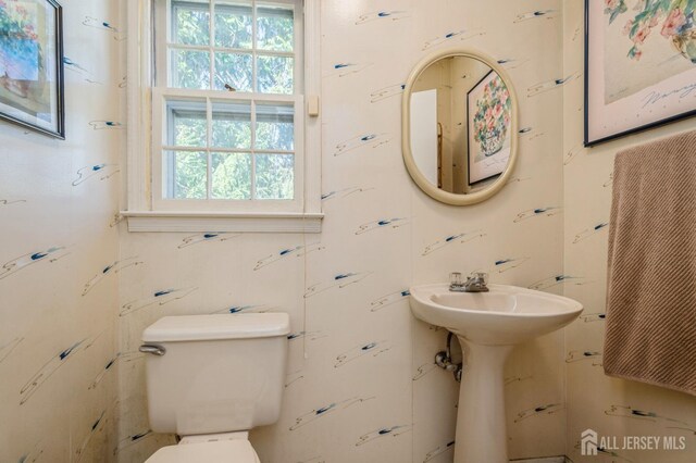 28 Thrush Dr, East Brunswick, NJ 08816 - half bath with plenty of natural light and toilet