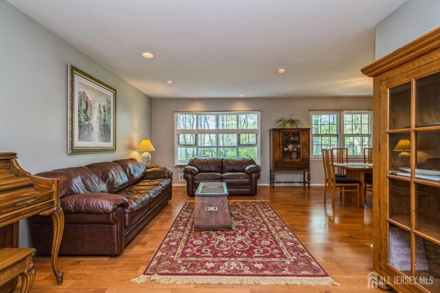 28 Thrush Dr, East Brunswick, NJ 08816 - living area with healthy amount of natural light, wood finished floors, and recessed lighting
