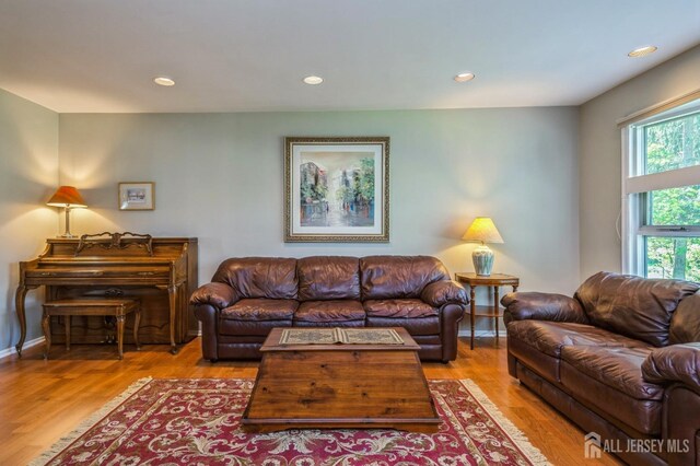 28 Thrush Dr, East Brunswick, NJ 08816 - living area with wood finished floors, recessed lighting, and baseboards