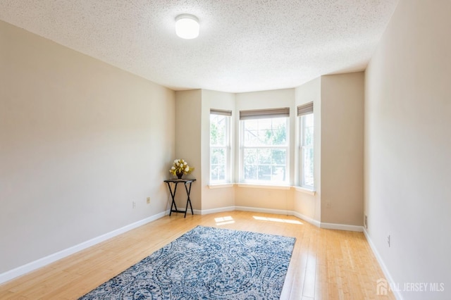 217 Nebula Rd, Piscataway, NJ 08854 - unfurnished room with wood finished floors, a textured ceiling, and baseboards