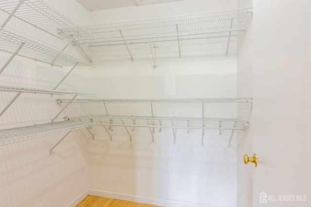 217 Nebula Rd, Piscataway, NJ 08854 - spacious closet with light wood-style floors