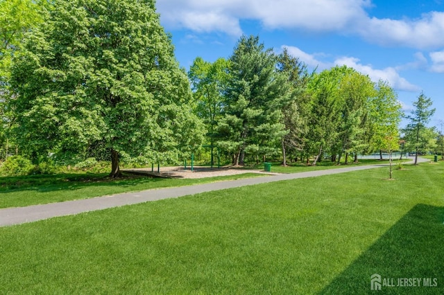217 Nebula Rd, Piscataway, NJ 08854 - surrounding community with a lawn