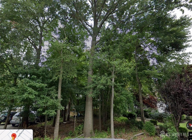 41 Chicago Ave, Piscataway, NJ 08854