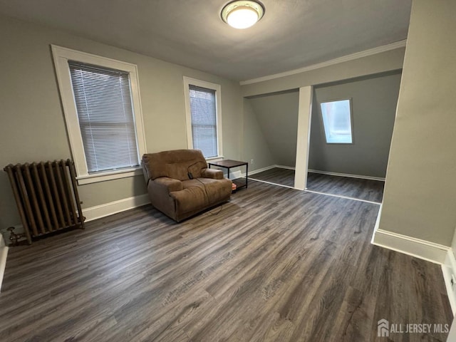 86 Harvey St, New Brunswick, NJ 08901 - sitting room featuring radiator heating unit, dark wood-style flooring, and plenty of natural light