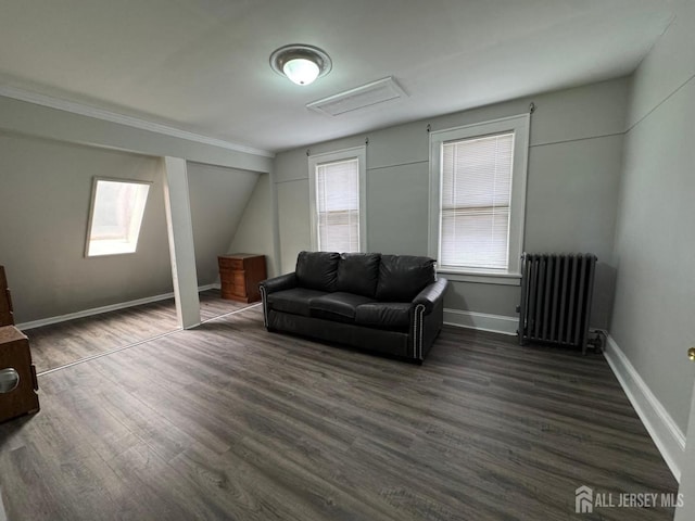 86 Harvey St, New Brunswick, NJ 08901 - living area with radiator heating unit, dark wood-style flooring, healthy amount of natural light, crown molding, and a skylight