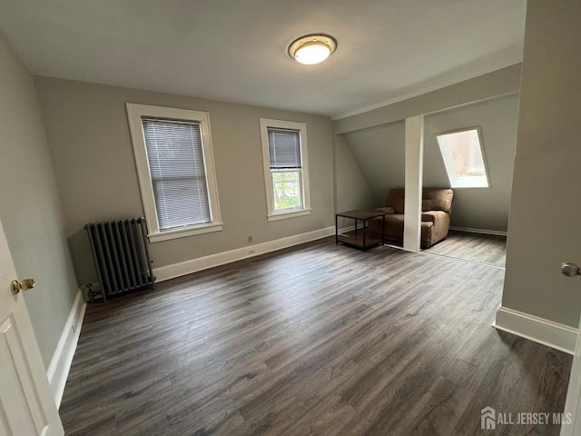 86 Harvey St, New Brunswick, NJ 08901 - unfurnished bedroom with radiator heating unit, a skylight, dark wood-style floors, and vaulted ceiling