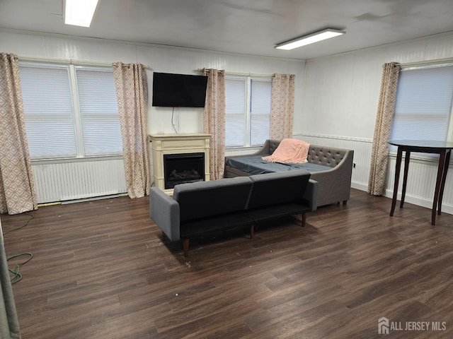 living room with dark hardwood / wood-style flooring