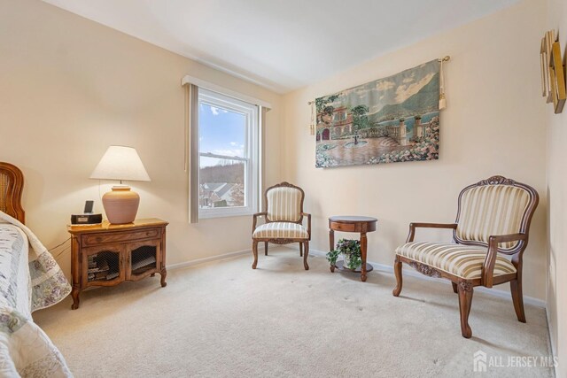 living area featuring carpet flooring