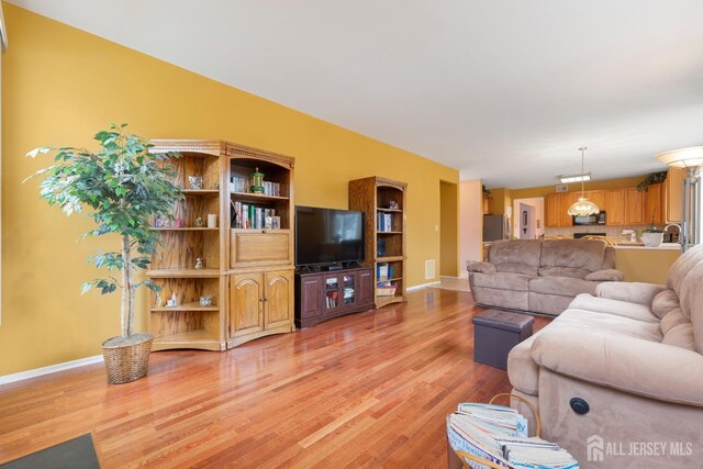 living room featuring light hardwood / wood-style flooring