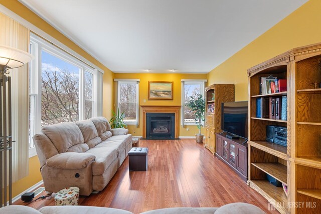 living room featuring hardwood / wood-style flooring