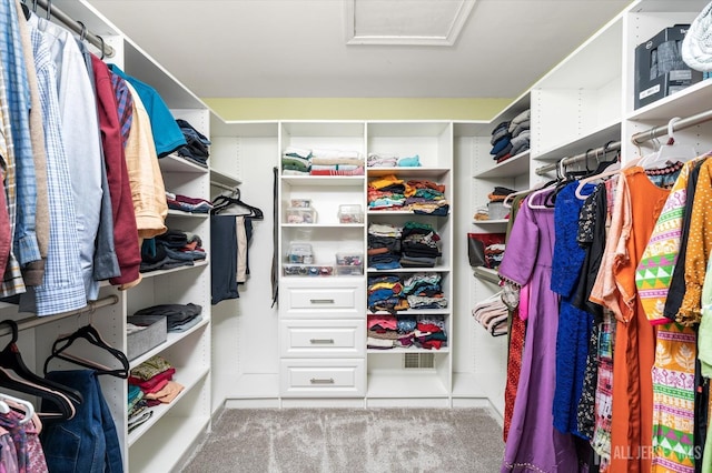 spacious closet featuring light colored carpet and attic access