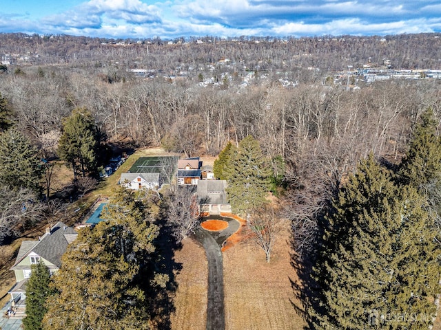 bird's eye view with a view of trees