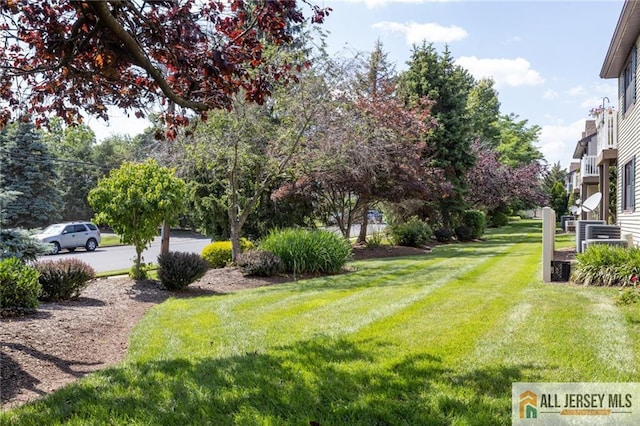 50 Prospect St Unit 09, Metuchen, NJ 08840 - view of green lawn