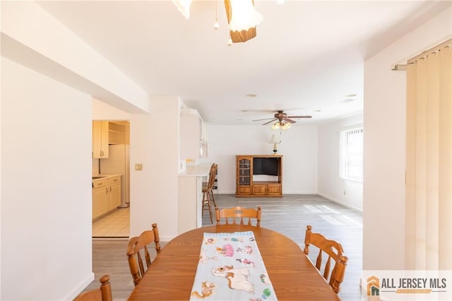50 Prospect St Unit 09, Metuchen, NJ 08840 - dining room featuring ceiling fan and light wood-style flooring