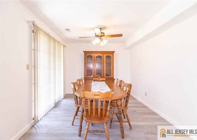 50 Prospect St Unit 09, Metuchen, NJ 08840 - dining room featuring a ceiling fan and light wood-style flooring