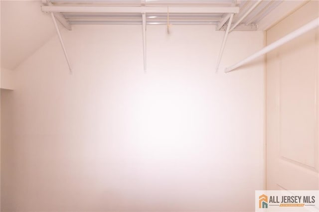 50 Prospect St Unit 09, Metuchen, NJ 08840 - view of spacious closet