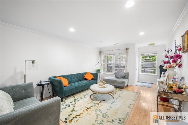 202 Canterbury Way S, Brunswick, NJ 08540 - living room with ornamental molding, light wood-style flooring, recessed lighting, and baseboards