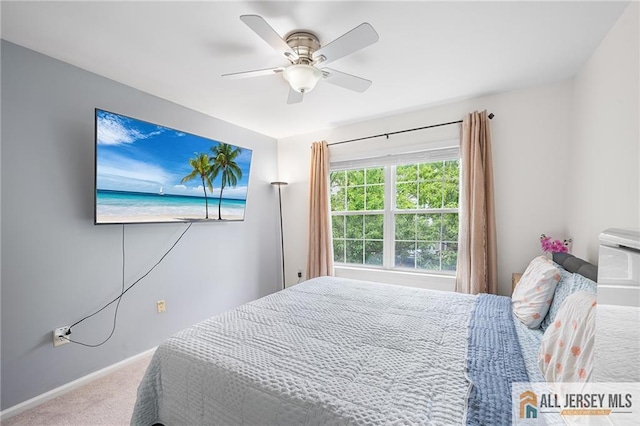 202 Canterbury Way S, Brunswick, NJ 08540 - carpeted bedroom with baseboards and ceiling fan