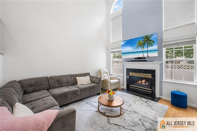 202 Canterbury Way S, Brunswick, NJ 08540 - living area featuring a towering ceiling, wood finished floors, and a premium fireplace