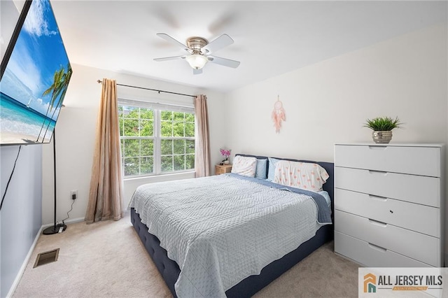 202 Canterbury Way S, Brunswick, NJ 08540 - bedroom with carpet and ceiling fan