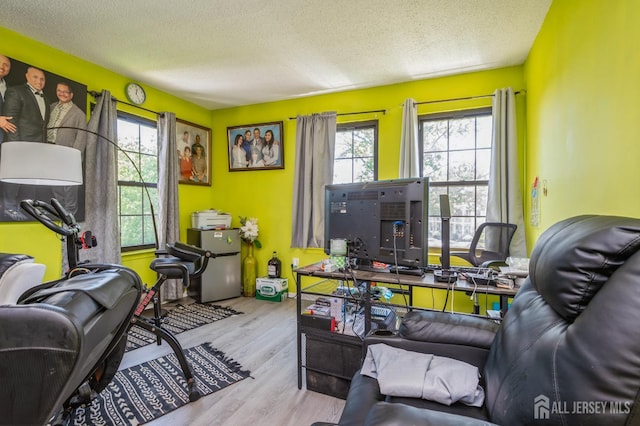 114 Griggs Pl E, Brunswick, NJ 08816 - living room with a textured ceiling and wood finished floors
