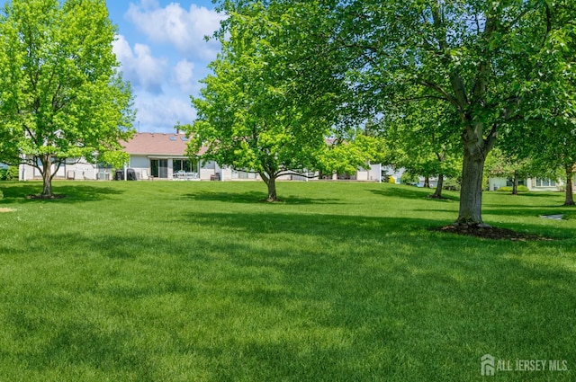 114 Griggs Pl E, Brunswick, NJ 08816 - view of green lawn