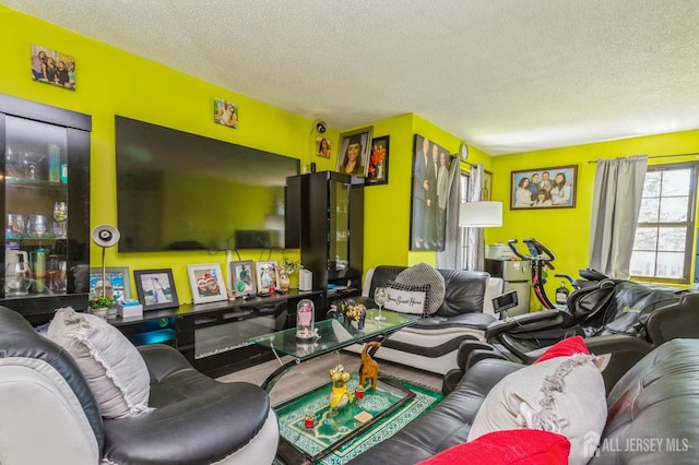 114 Griggs Pl E, Brunswick, NJ 08816 - living room featuring a textured ceiling