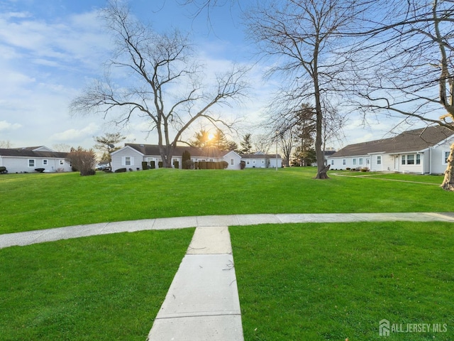 view of grassy yard